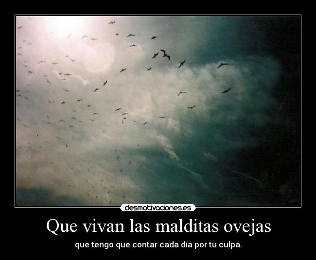 Que vivan las malditas ovejas - que tengo que contar cada día por tu culpa.