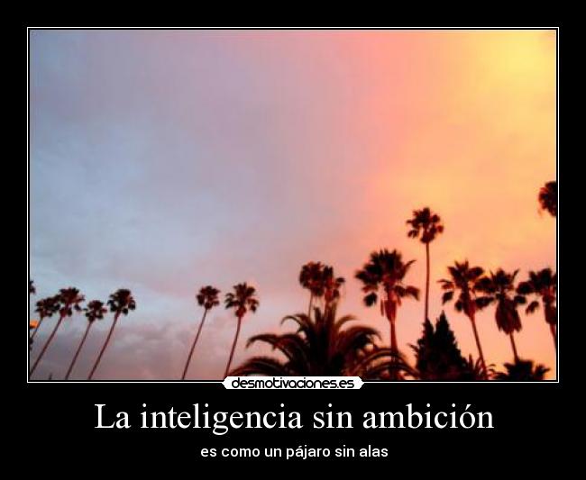 carteles palm tree desmotivaciones