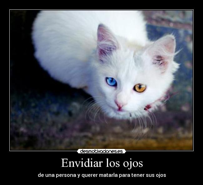 Envidiar los ojos -