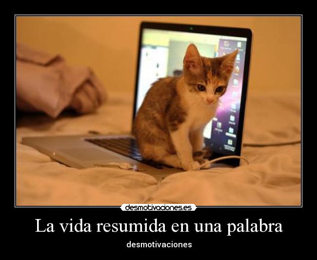 La vida resumida en una palabra - desmotivaciones