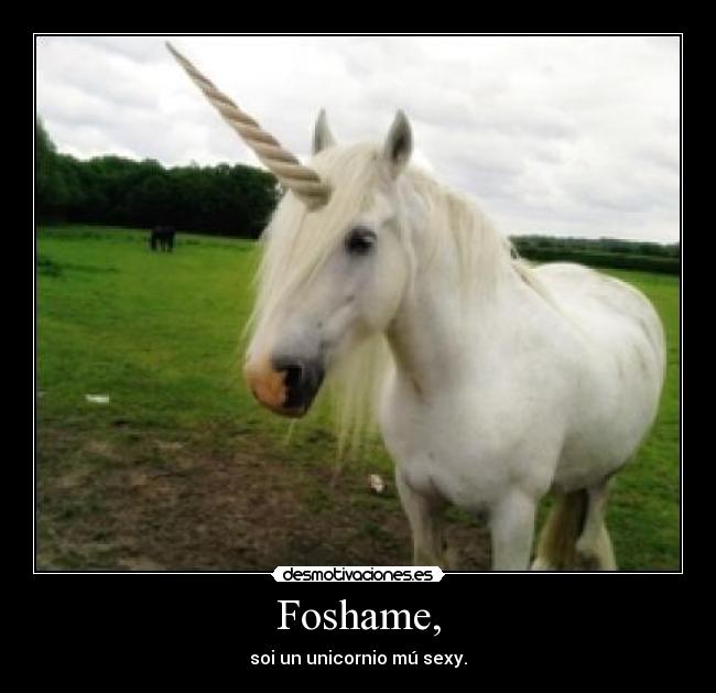 Foshame, - soi un unicornio mú sexy.
