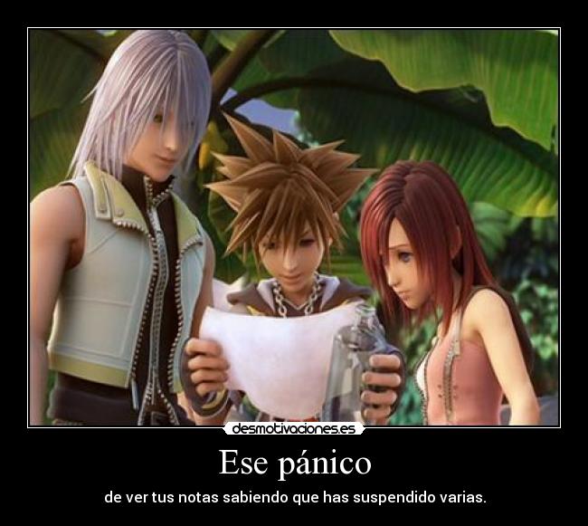 carteles sora desmotivaciones