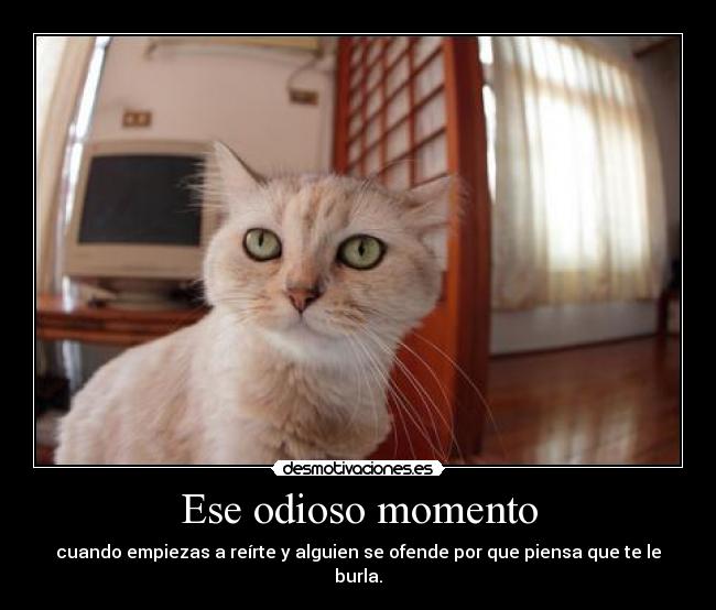 carteles gatos gatos ebriguer inrtuders lol 1kd desmotivaciones