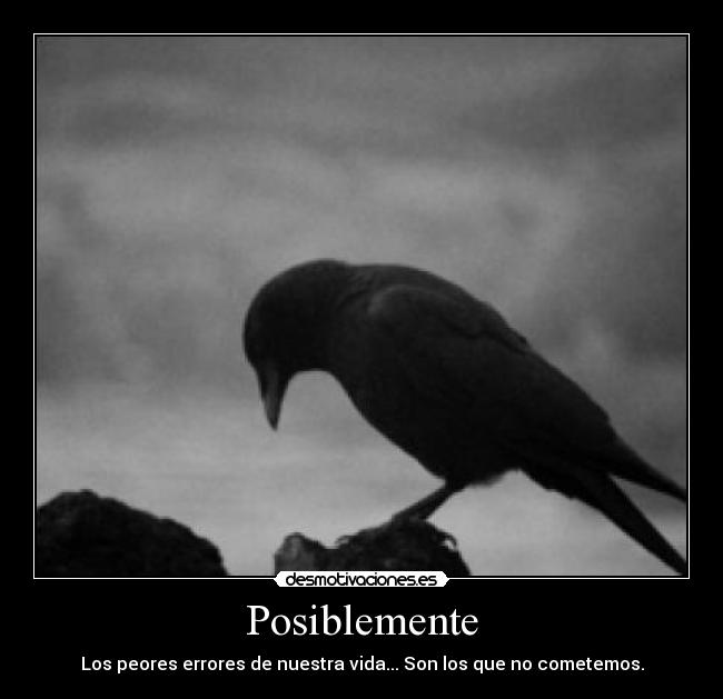 Posiblemente - Los peores errores de nuestra vida... Son los que no cometemos.