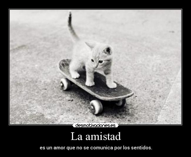 La amistad - es un amor que no se comunica por los sentidos.