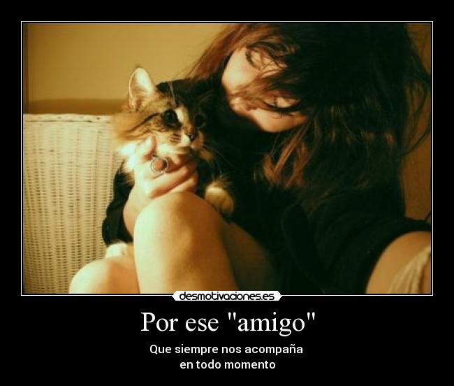 Por ese amigo - Que siempre nos acompaña 
en todo momento