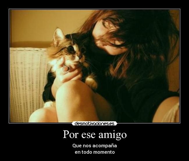 Por ese amigo - Que nos acompaña
en todo momento
