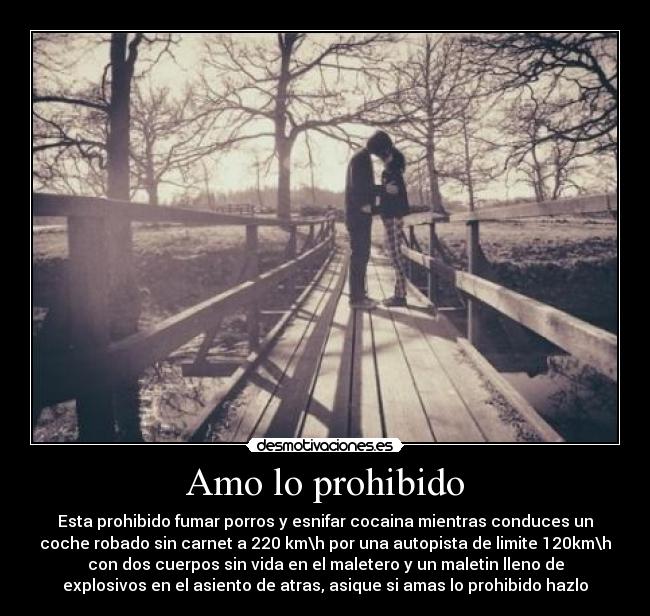 Amo lo prohibido - Esta prohibido fumar porros y esnifar cocaina mientras conduces un
coche robado sin carnet a 220 km\h por una autopista de limite 120km\h
con dos cuerpos sin vida en el maletero y un maletin lleno de
explosivos en el asiento de atras, asique si amas lo prohibido hazlo