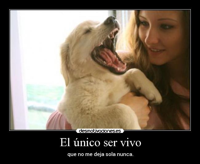 El único ser vivo - que no me deja sola nunca.