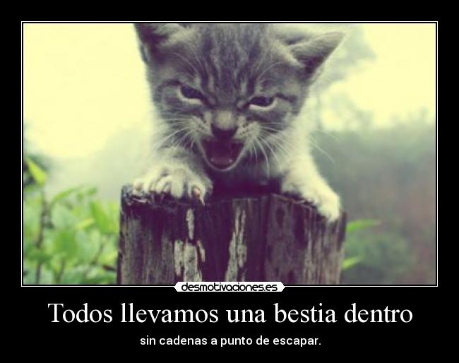 Todos llevamos una bestia dentro - sin cadenas a punto de escapar.