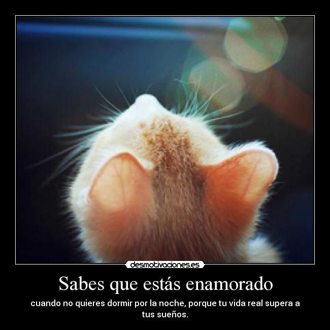 Sabes que estás enamorado - cuando no quieres dormir por la noche, porque tu vida real supera a tus sueños.