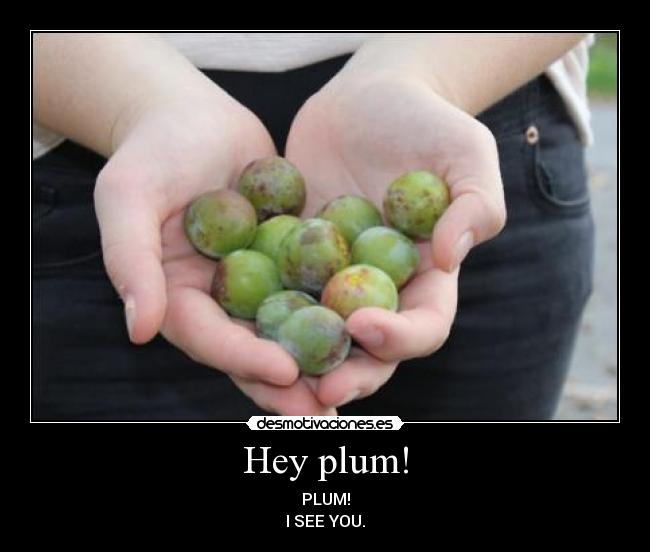 Hey plum! -
