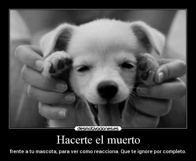 Hacerte el muerto -