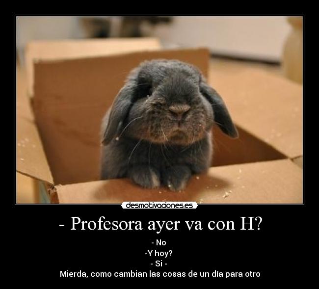 - Profesora ayer va con H? - - No 
-Y hoy? 
- Si - 
Mierda, como cambian las cosas de un día para otro