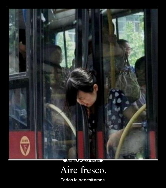 Aire fresco. - Todos lo necesitamos.