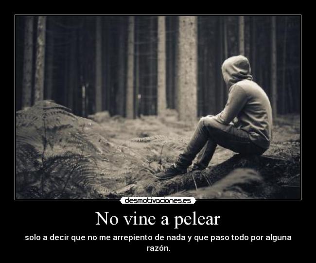 No vine a pelear -