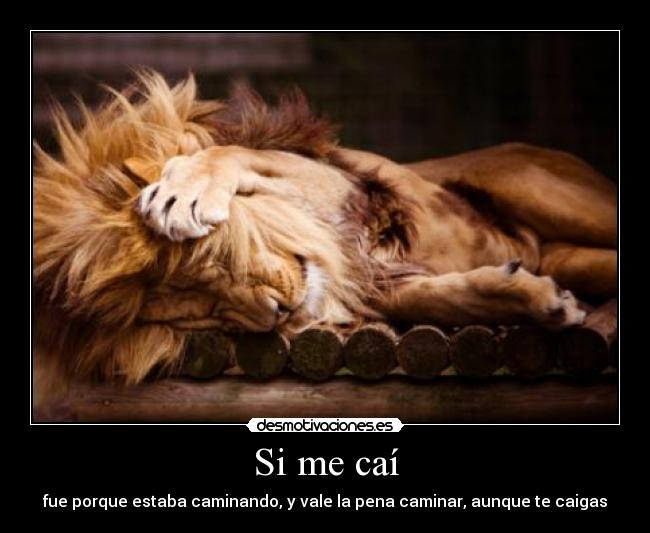 Si me caí - fue porque estaba caminando, y vale la pena caminar, aunque te caigas