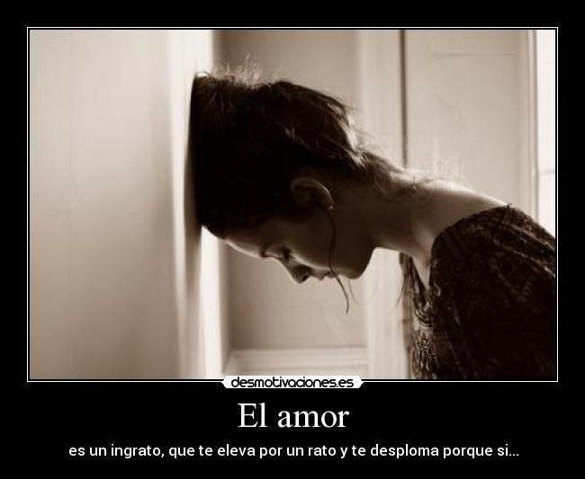 El amor -