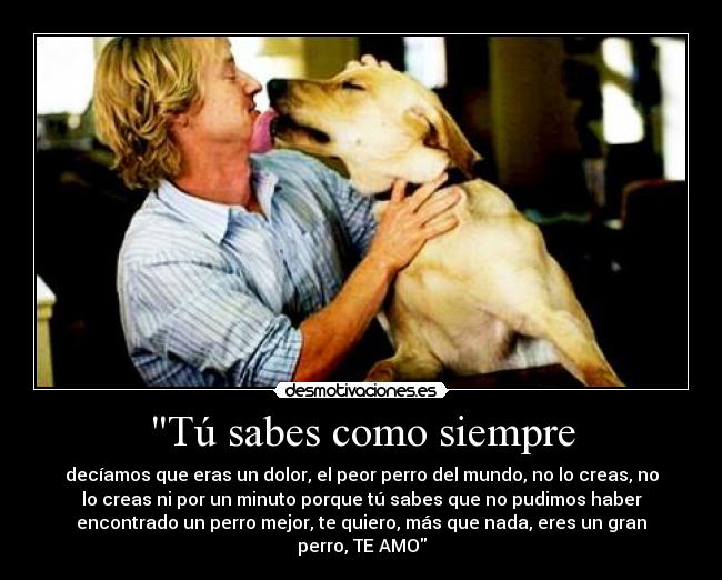 Tú sabes como siempre - decíamos que eras un dolor, el peor perro del mundo, no lo creas, no
lo creas ni por un minuto porque tú sabes que no pudimos haber
encontrado un perro mejor, te quiero, más que nada, eres un gran
perro, TE AMO