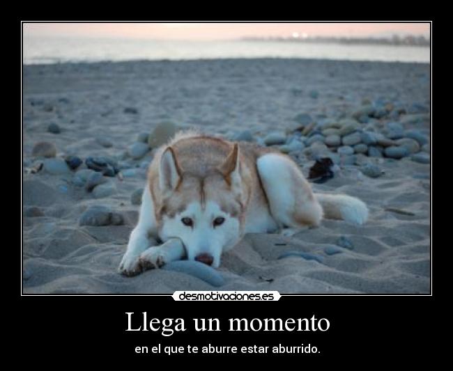 Llega un momento - 