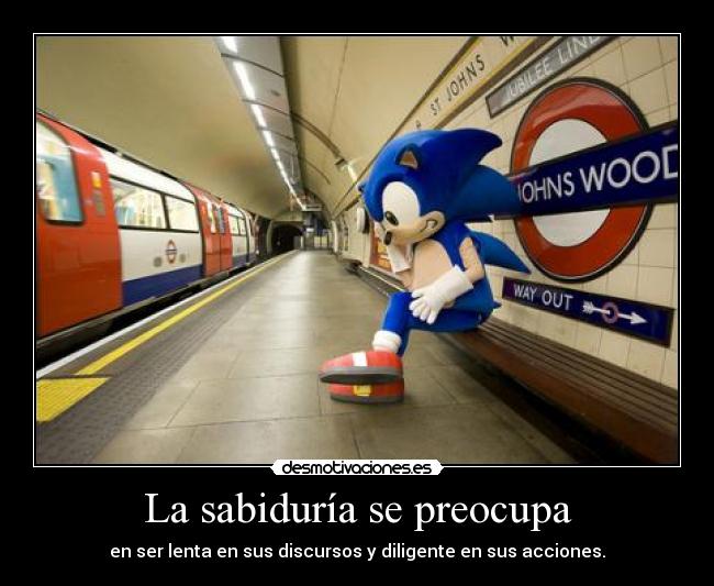 La sabiduría se preocupa -