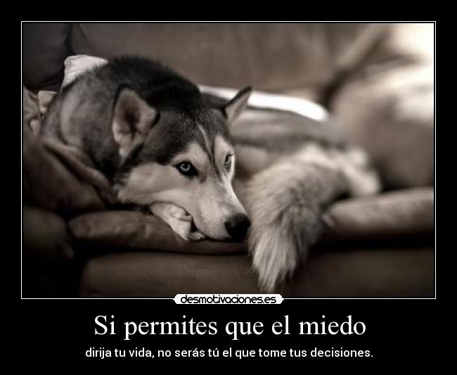 Si permites que el miedo -