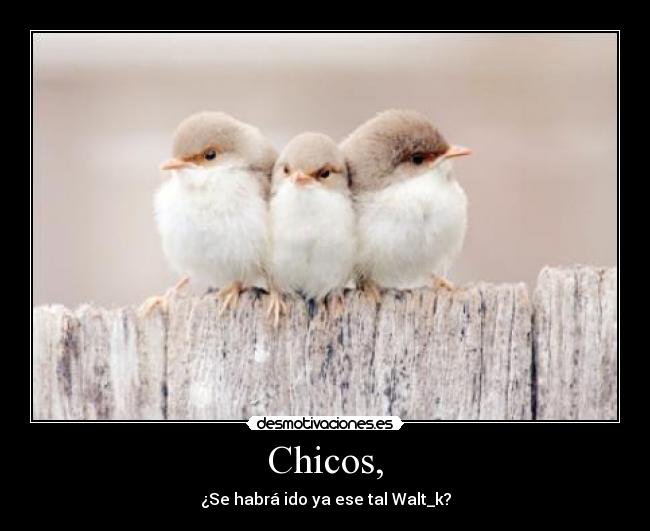 Chicos, - ¿Se habrá ido ya ese tal Walt_k?