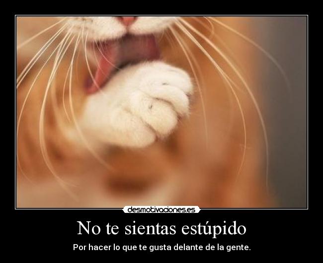 carteles papapitufo desmotivaciones