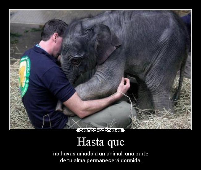 Hasta que -