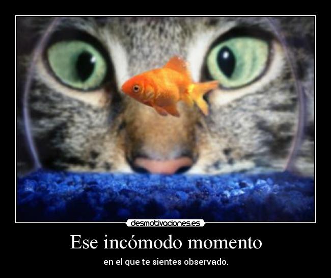 Ese incómodo momento - en el que te sientes observado.