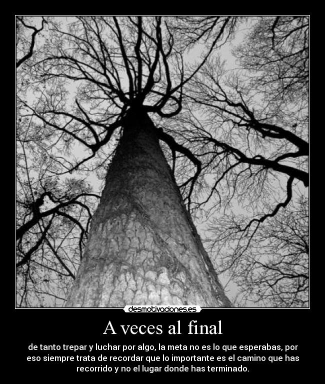 A veces al final - de tanto trepar y luchar por algo, la meta no es lo que esperabas, por
eso siempre trata de recordar que lo importante es el camino que has
recorrido y no el lugar donde has terminado.