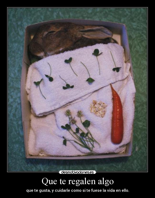 Que te regalen algo - que te gusta, y cuidarle como si te fuese la vida en ello.