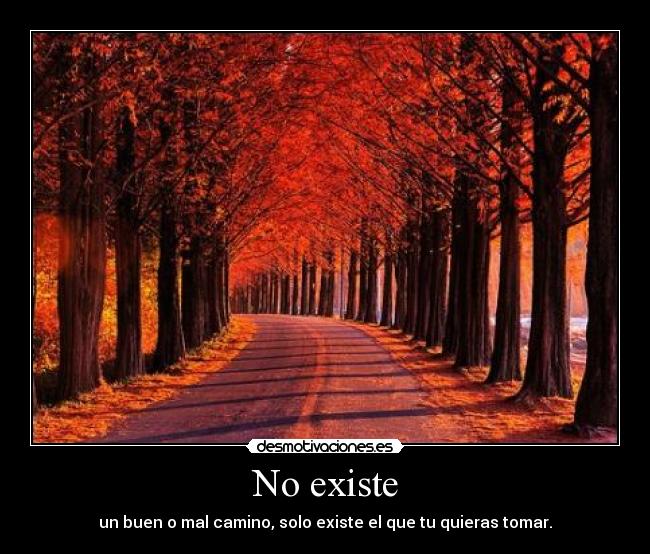 No existe - un buen o mal camino, solo existe el que tu quieras tomar.