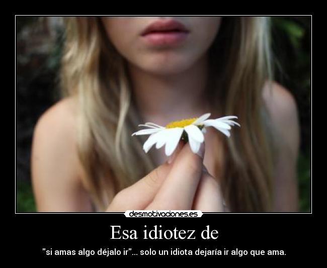 Esa idiotez de - si amas algo déjalo ir... solo un idiota dejaría ir algo que ama.