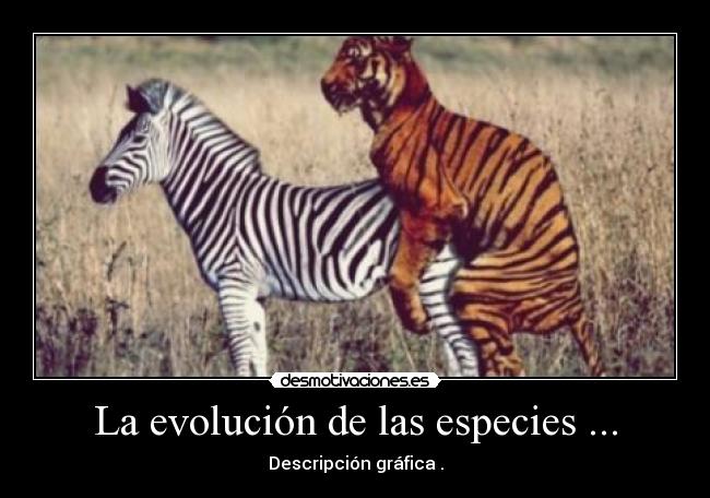 La evolución de las especies ... - 