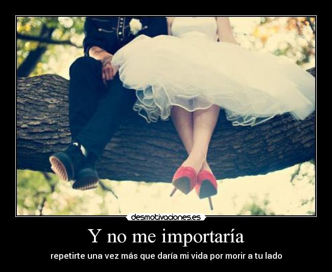 Y no me importaría - 