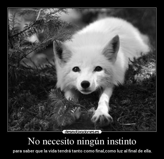No necesito ningún instinto - 