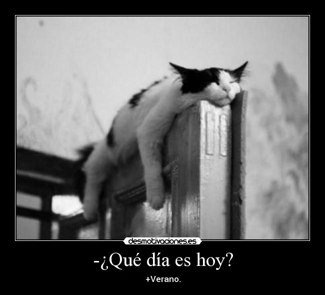 -¿Qué día es hoy? - +Verano.