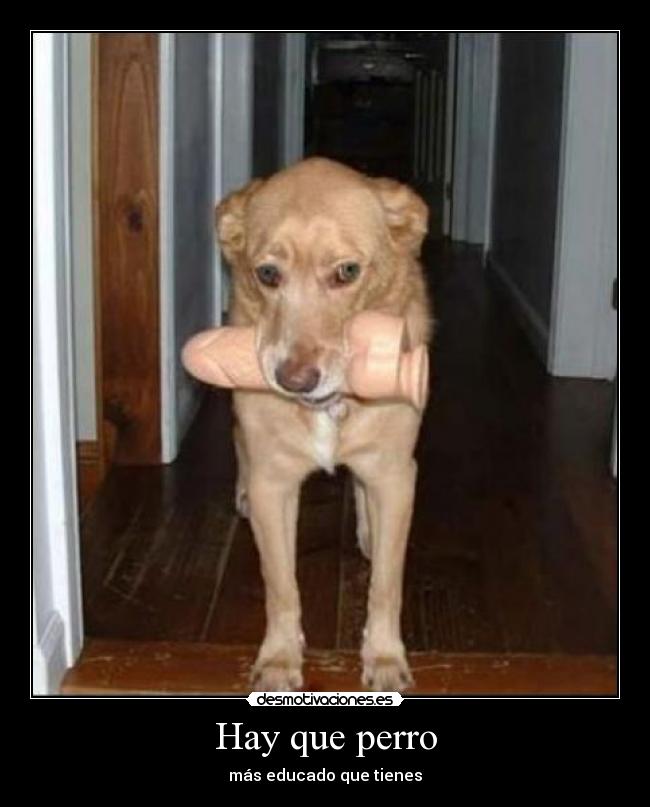 carteles ironia desmotivaciones