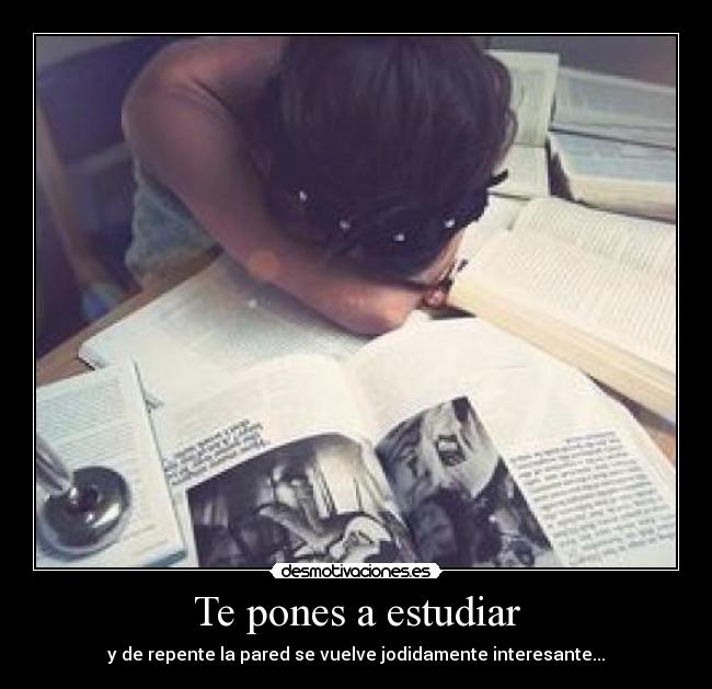 carteles estudiar desmotivaciones