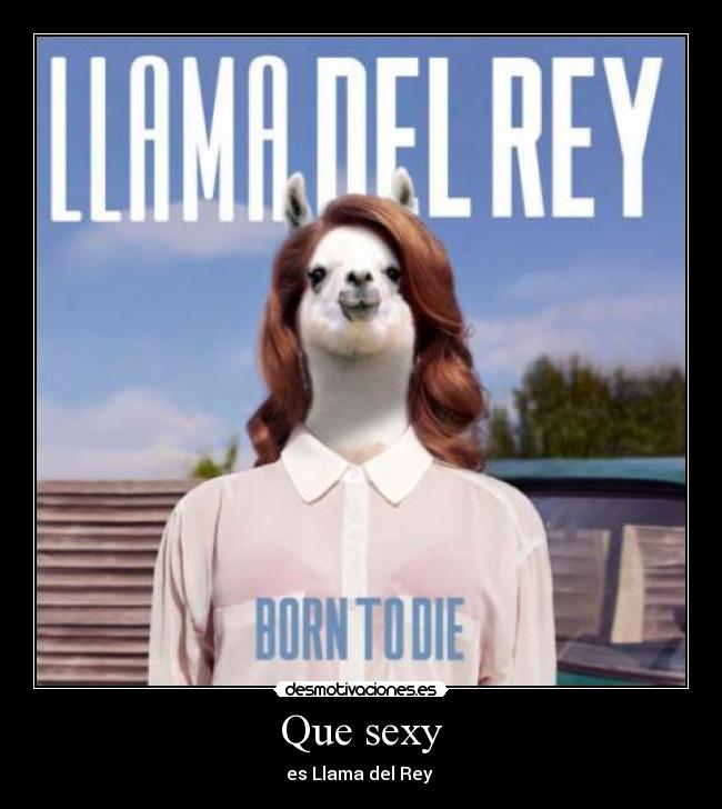Que sexy - es Llama del Rey