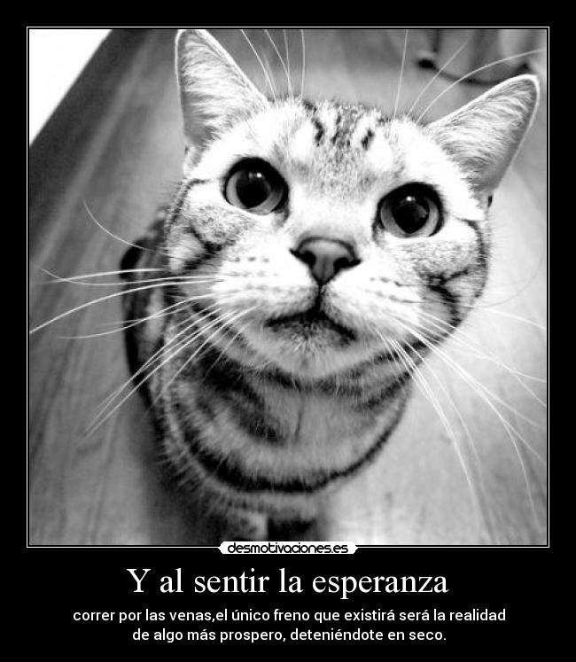 Y al sentir la esperanza - correr por las venas,el único freno que existirá será la realidad
de algo más prospero, deteniéndote en seco.