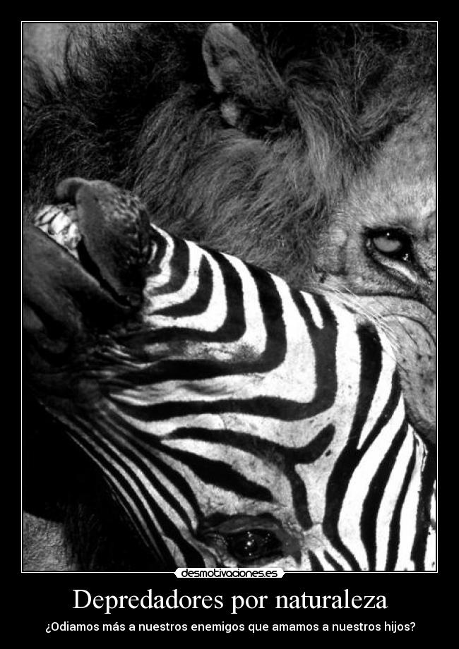 Depredadores por naturaleza - ¿Odiamos más a nuestros enemigos que amamos a nuestros hijos?