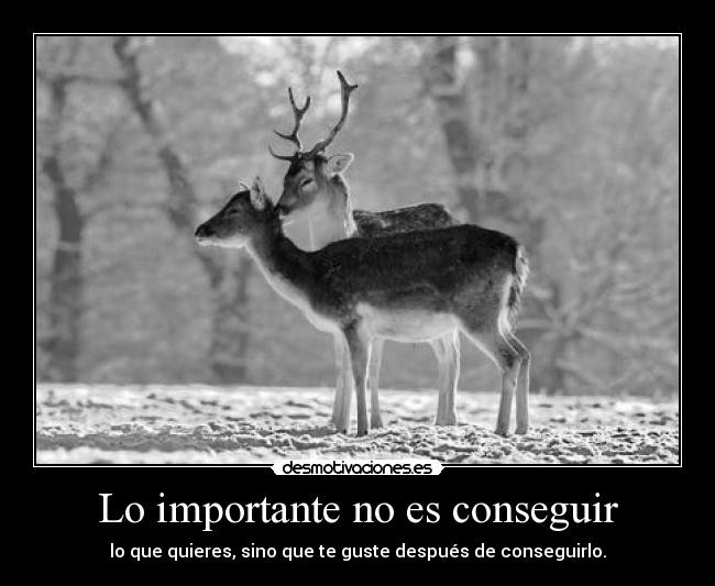 carteles carlososuna96 desmotivaciones