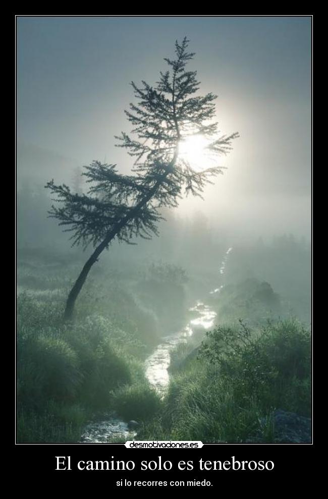El camino solo es tenebroso - 