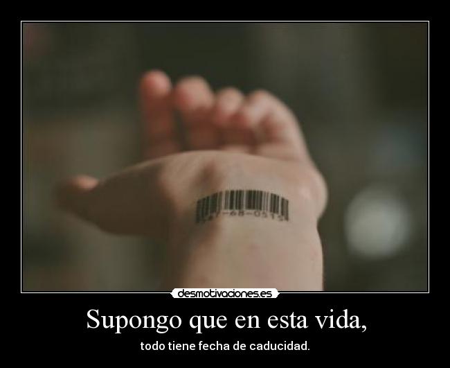 Supongo que en esta vida, -