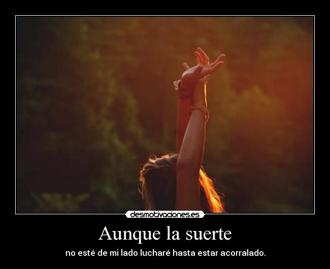 Aunque la suerte - no esté de mi lado lucharé hasta estar acorralado.