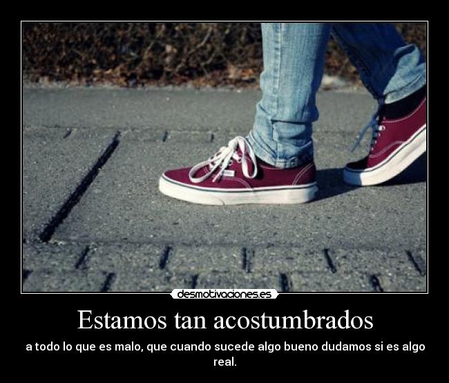 Estamos tan acostumbrados - 