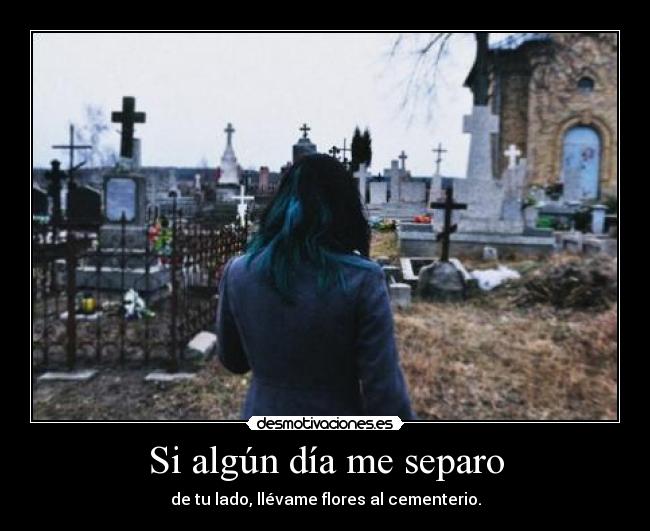 Si algún día me separo - de tu lado, llévame flores al cementerio.