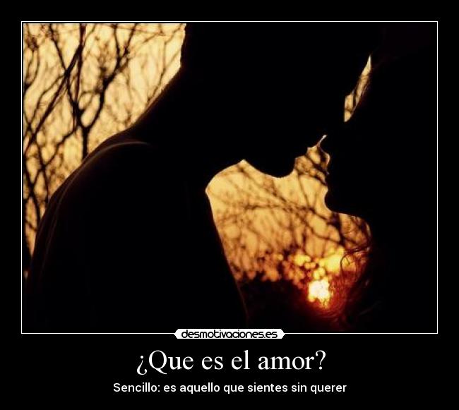 ¿Que es el amor? - Sencillo: es aquello que sientes sin querer
